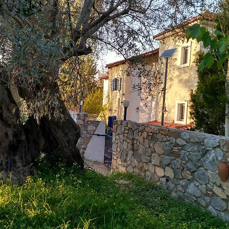 9 Musses Hotel Apartments Skala Mistegnon Екстер'єр фото